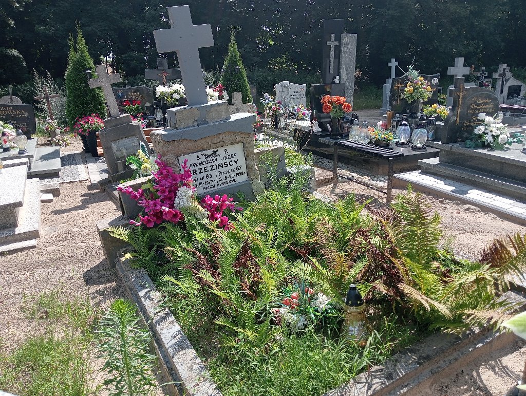 Grób Farnciszka Brzezińska